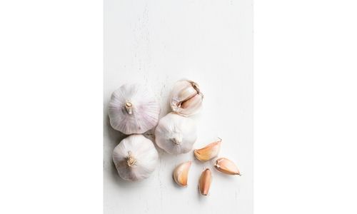 hardneck-garlic